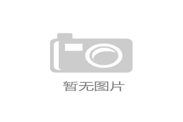 厄瓜多尔与德国在2026世界杯中的表现对比：球队实力、战术风格详解